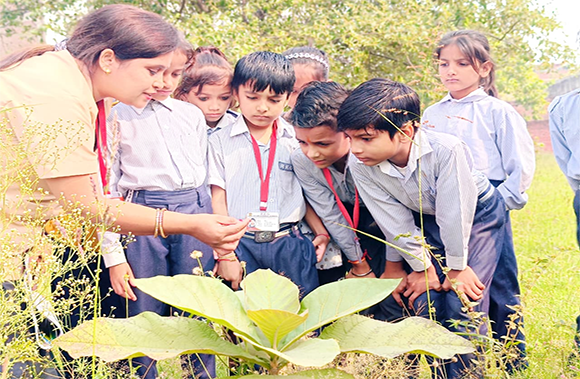 CBSE Affiliated School